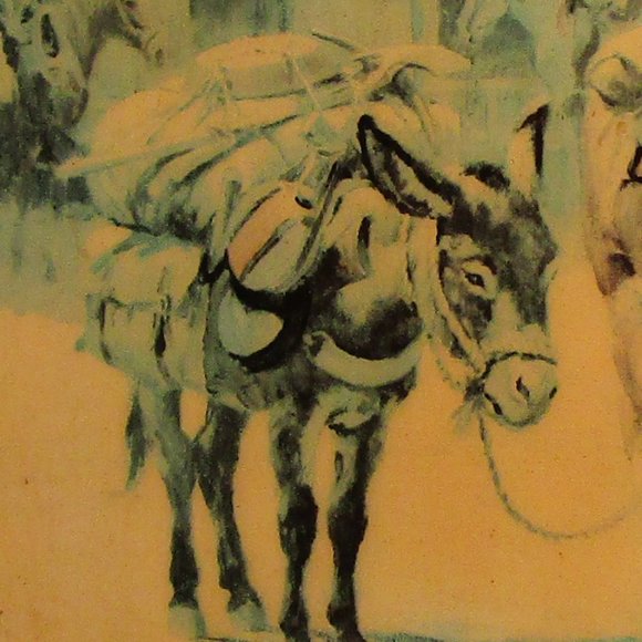 Custom Mounted Photograph: Oddball Horse - Picture 4 of 9